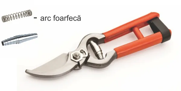 FOARFECA VIE